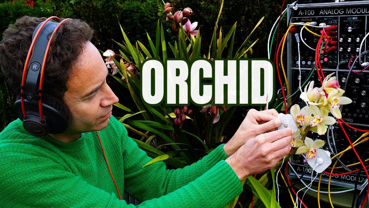 Orchid | Living Plant Sound in 432Hz