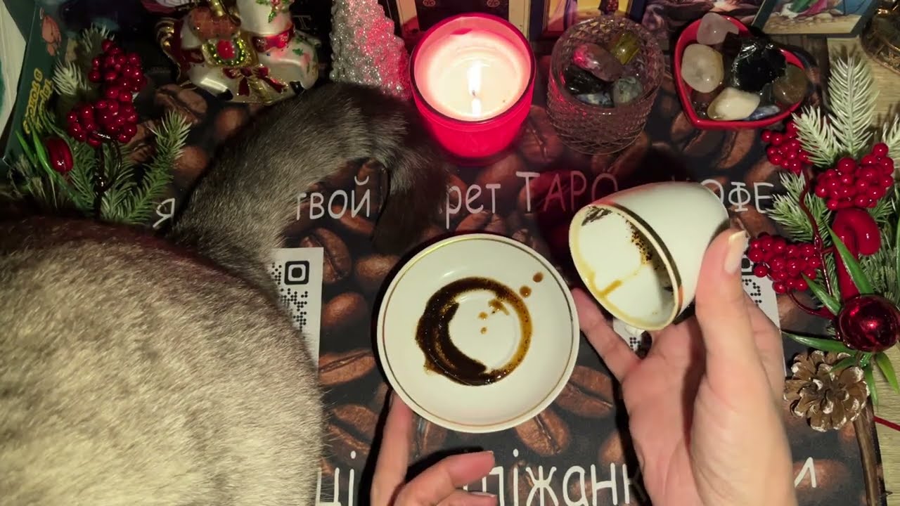 Чашка дня‼️