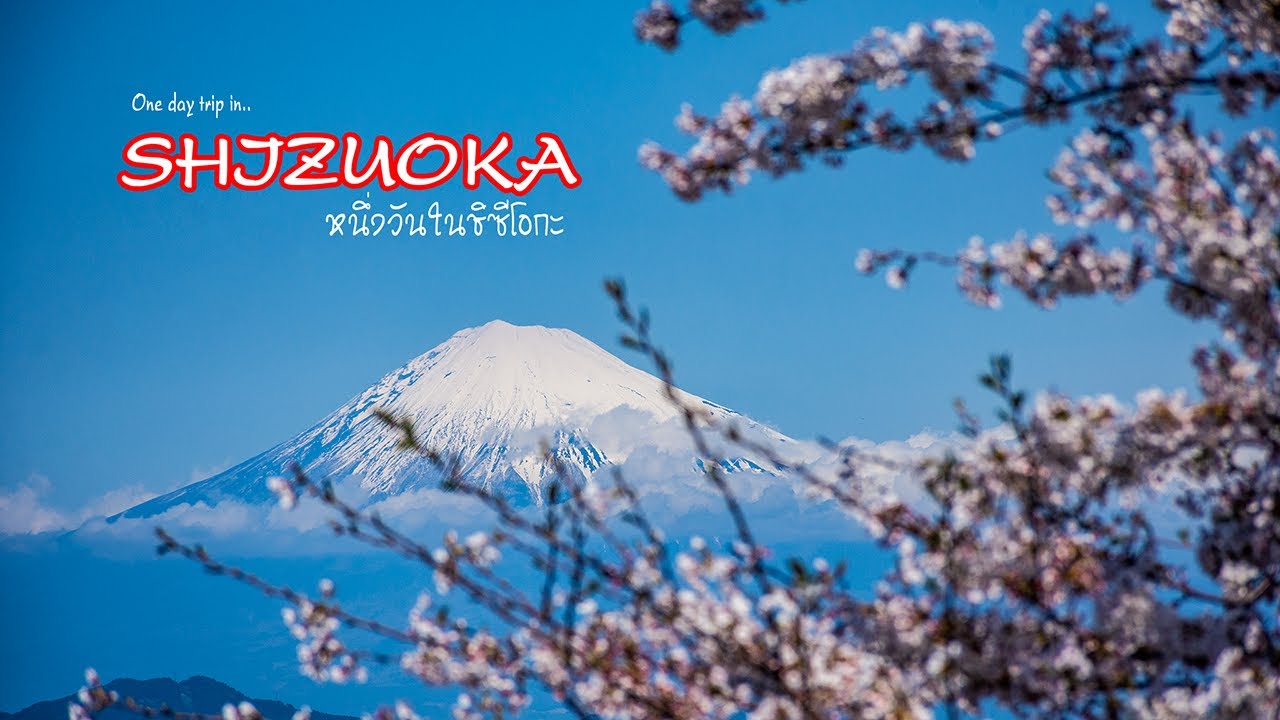 Shizuoka day trip (เที่ยวชิซึโอกะใน 1 วัน)
