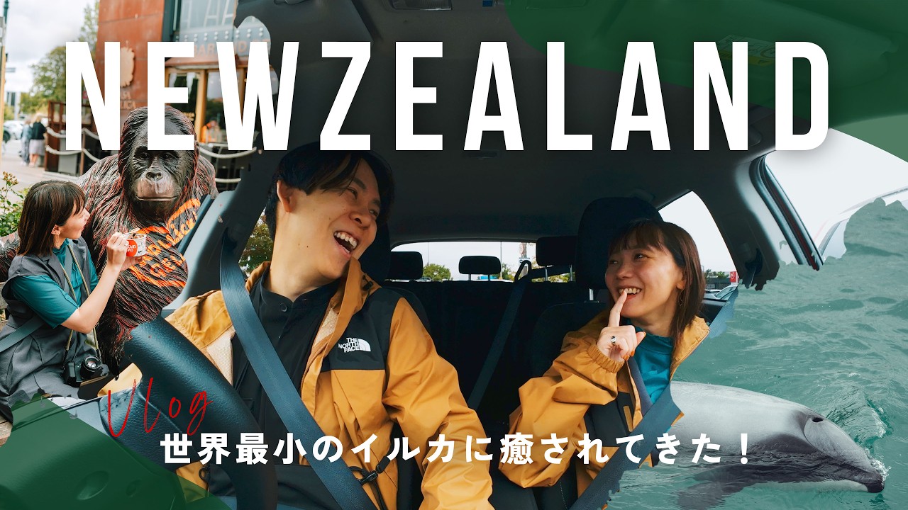 【VLOG】初めてのニュージーランド！アクシデント続きだけど世界最小のイルカに癒された。。