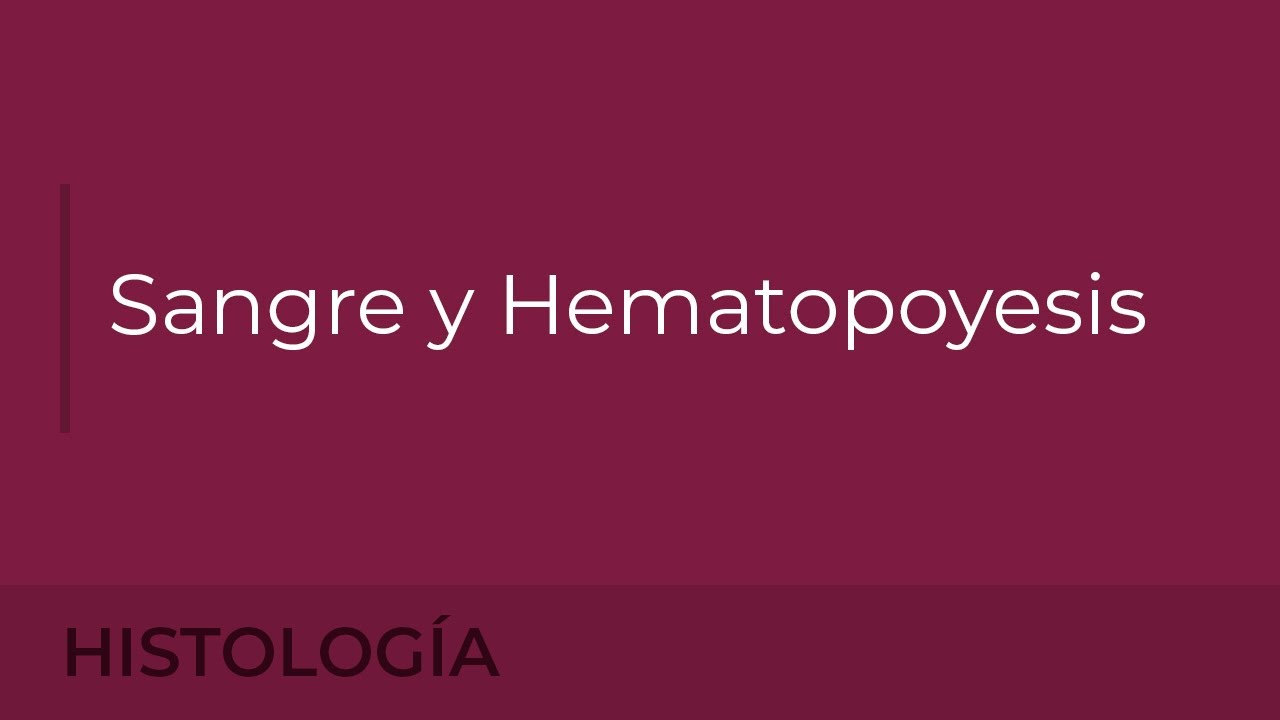 Histología: Sangre y Hematopoyesis. Cristina Álvarez Martínez