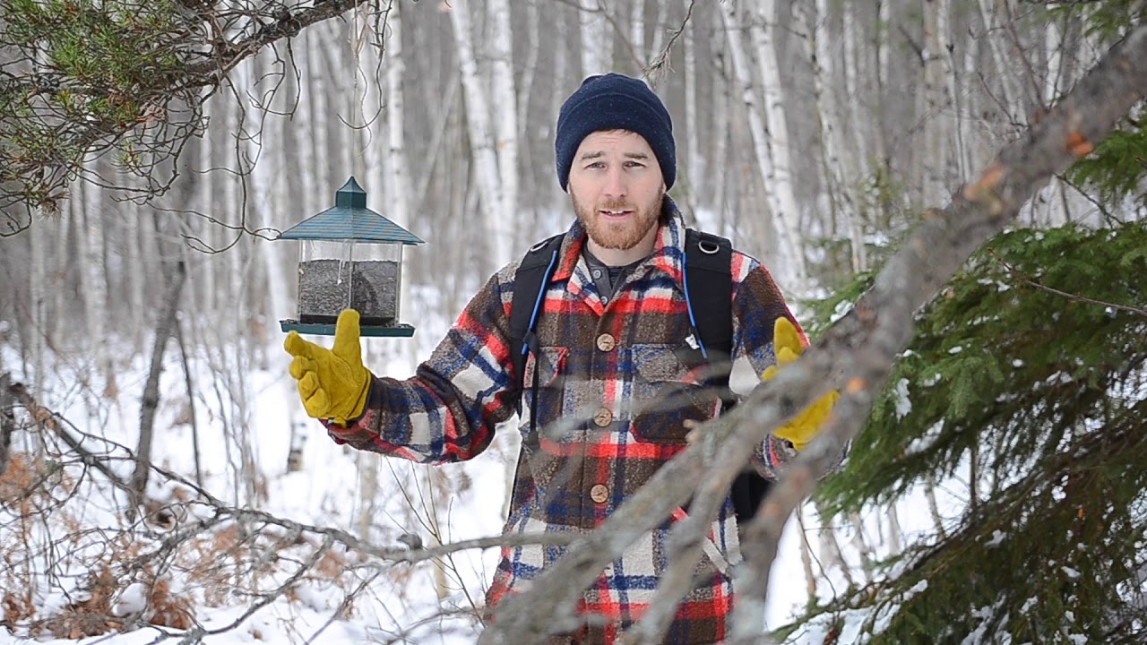 Setting Up A Bird Photography Location