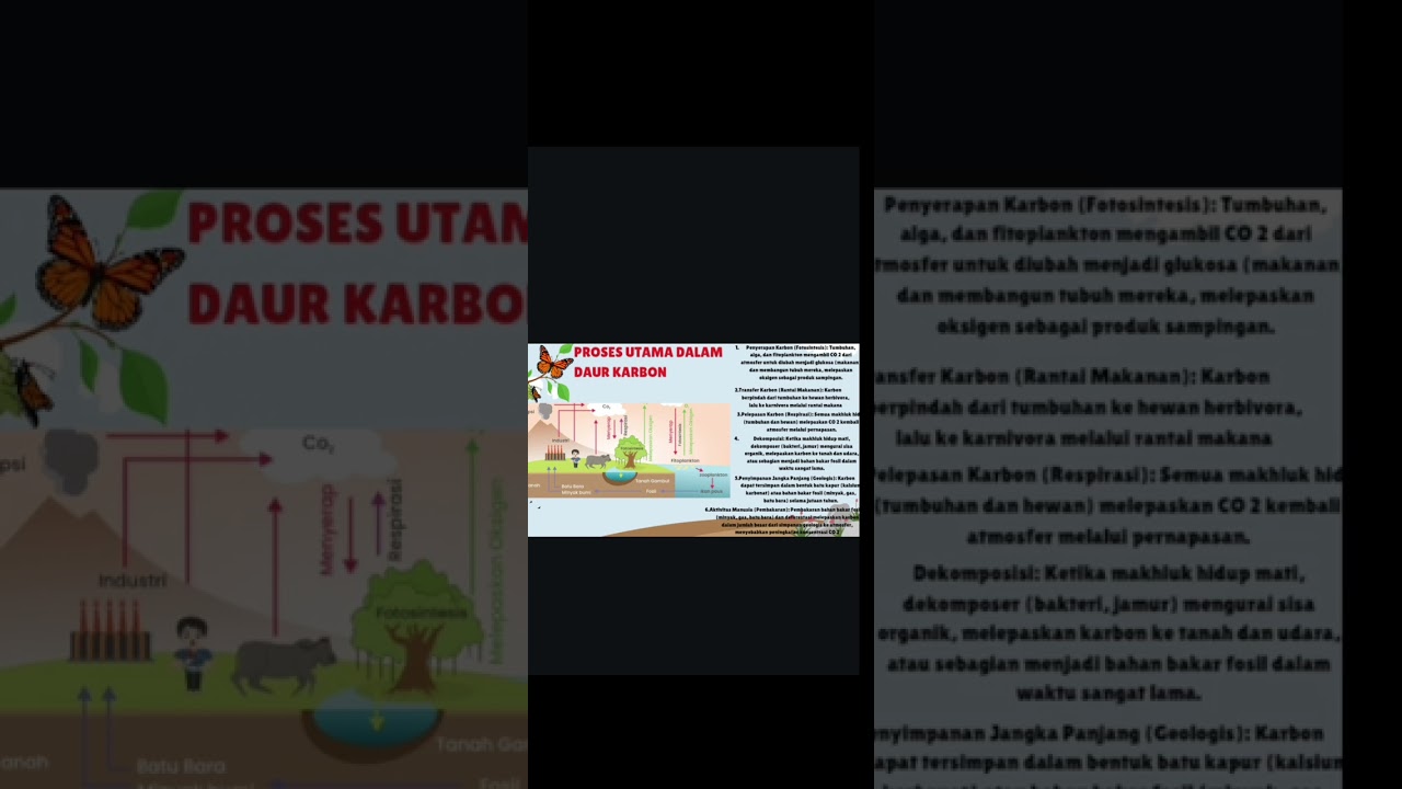 Biologi Kelas 10 : Daur Karbon (By. Marce Modjo) 