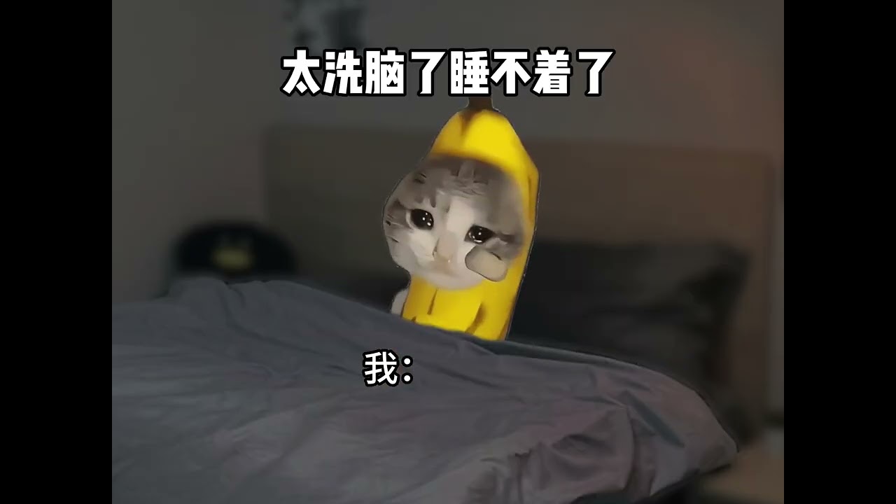 what the dog doing ,HOME1 #比比拉布 #我的刀盾 #memes #whatthedogdoing #fuuny #cheems