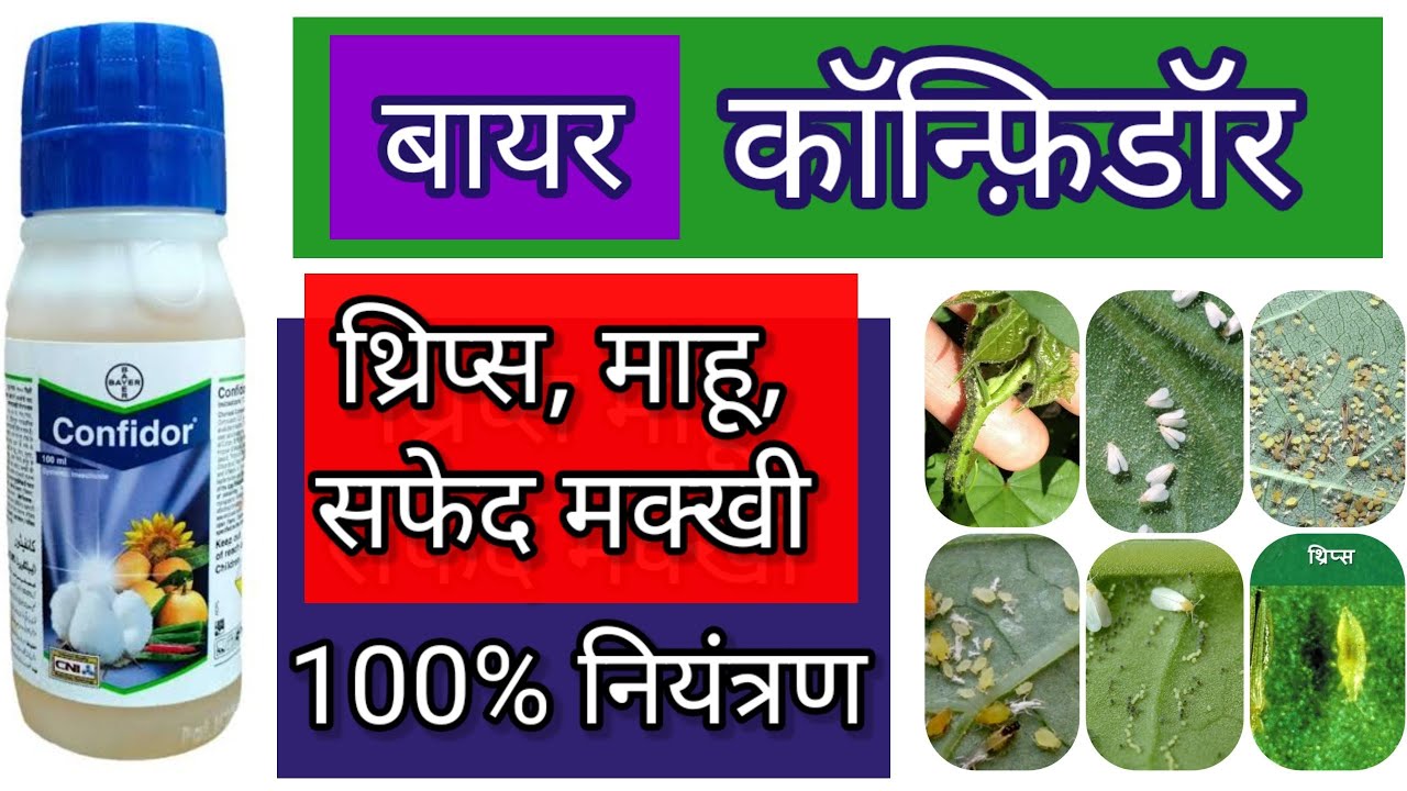 Bayer #confidor pesticidel Imidacloprid 17.8sl insecticide l बायर कॉन्फीडॉर l bayer insecticide l