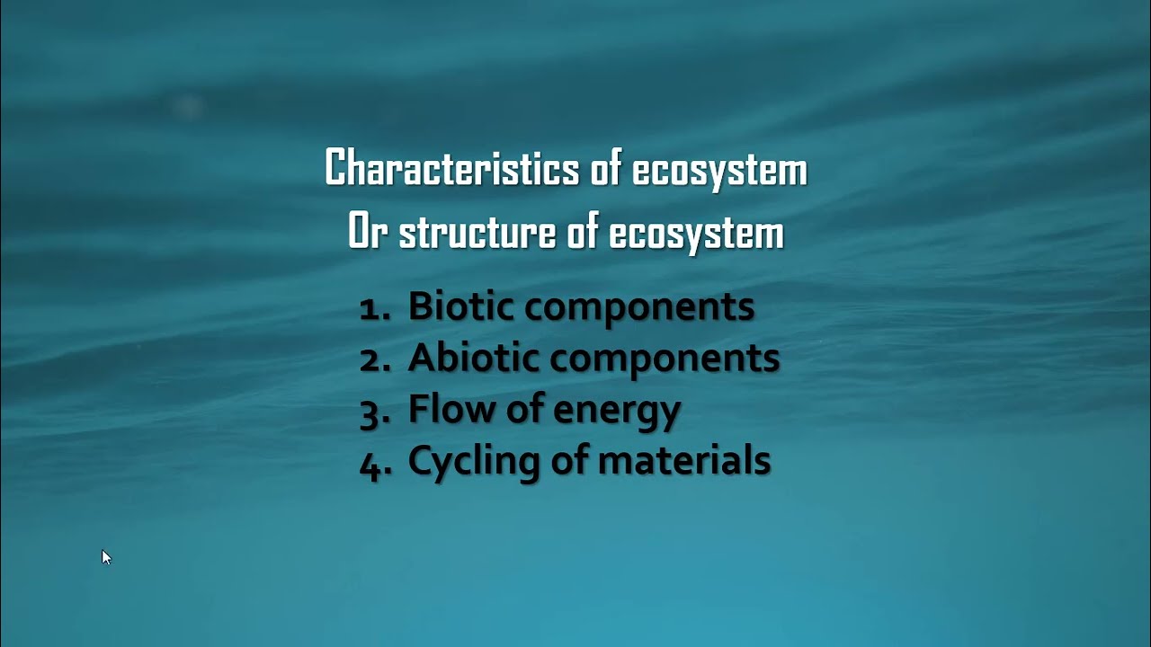 Characteristics of an Ecosystem in Hindi /Urdu Biotic/Abiotic components flow of energy / materials😀