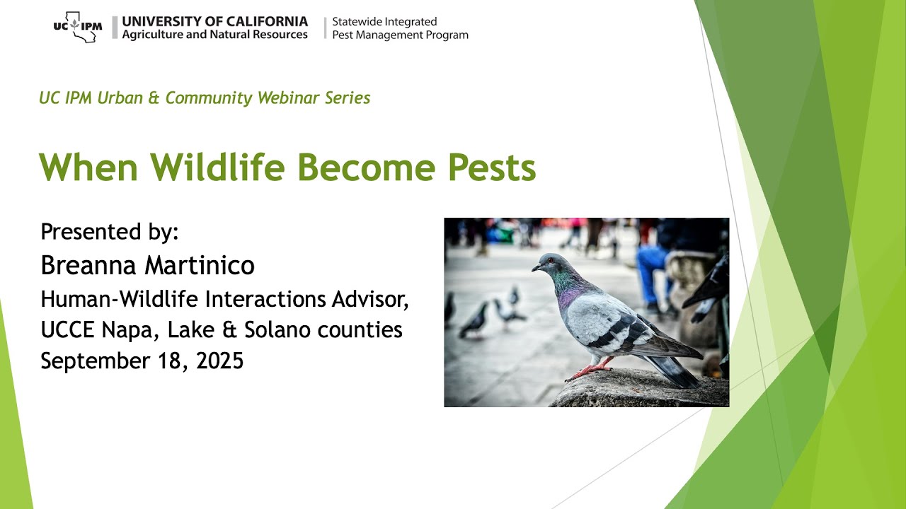 When Wildlife Become Pests