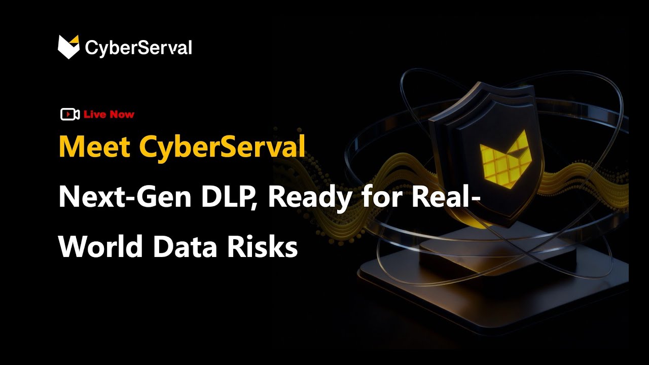 Next-Gen Data Loss Prevention | CyberServal DDR Webinar Replay