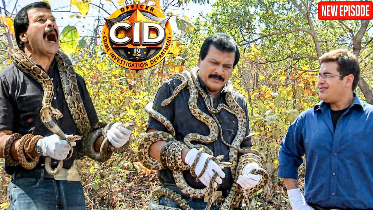 घने जंगल में सांपो के चंगुल में फंसा Freddy , पंकज ने उड़ाया मजाक || CID | Latest Episode ||