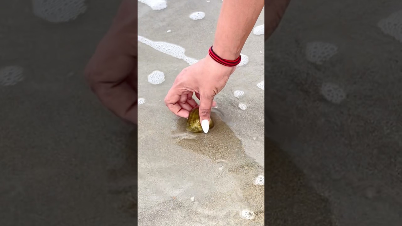 OMG! Made Real Pearl Necklace On The Beach 🤯📿🌊 || #trending #viral #shorts