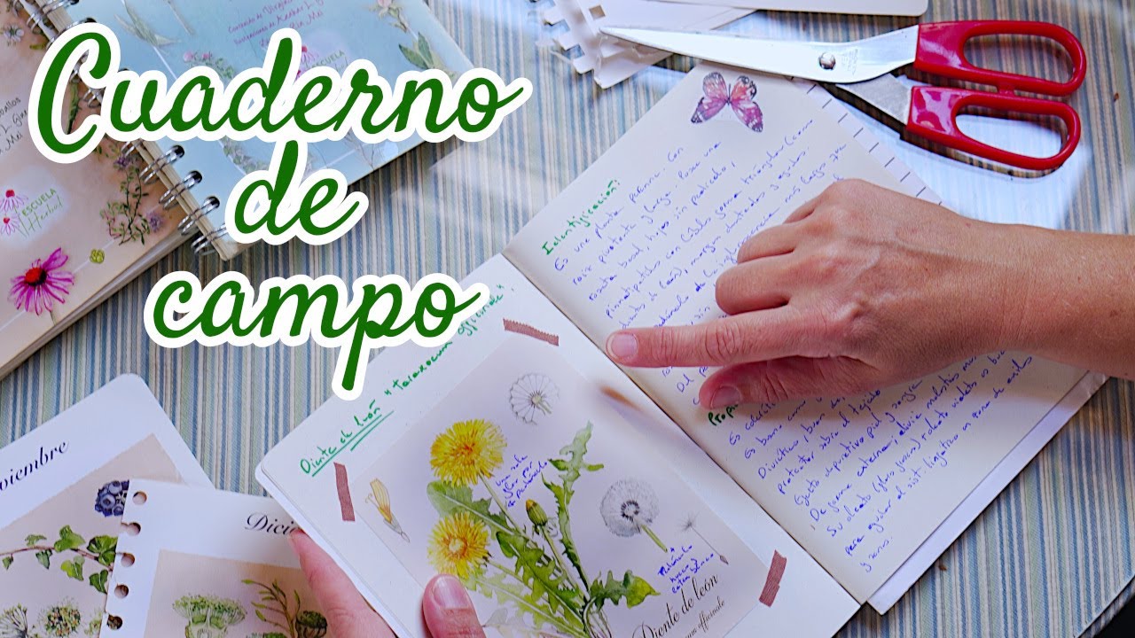 Cómo hacer un Cuaderno de Campo sin saber dibujar 😅