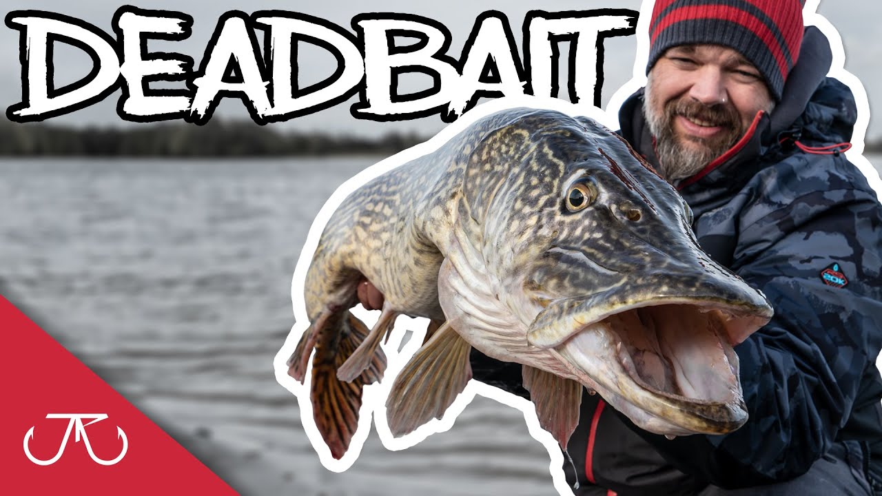 DEADBAITING auf Hecht, a 