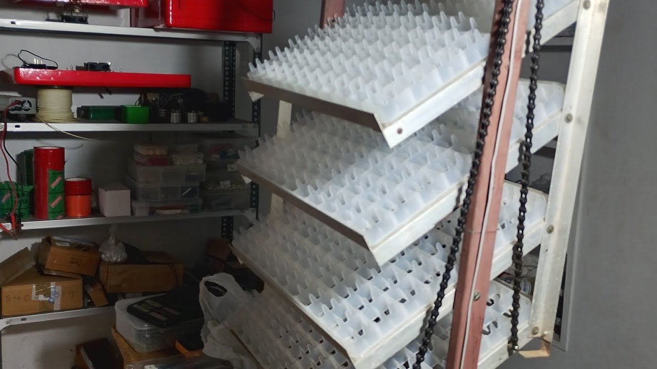 352 CHICKEN EGG AUTOMATIC CINCUBATOR TRAY WITH CHAIN MOTOR 