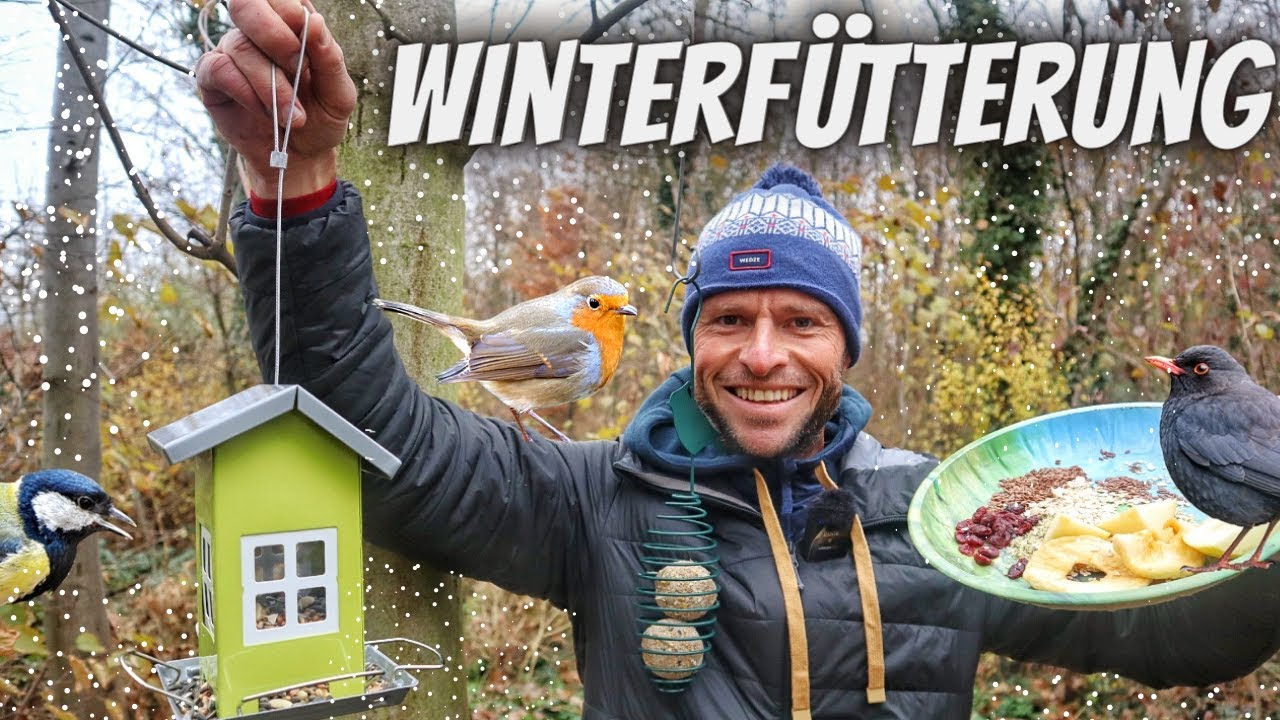 Wildvögel richtig füttern + zahlreiche Futtertipps für verschiedene Vogelarten 🐦