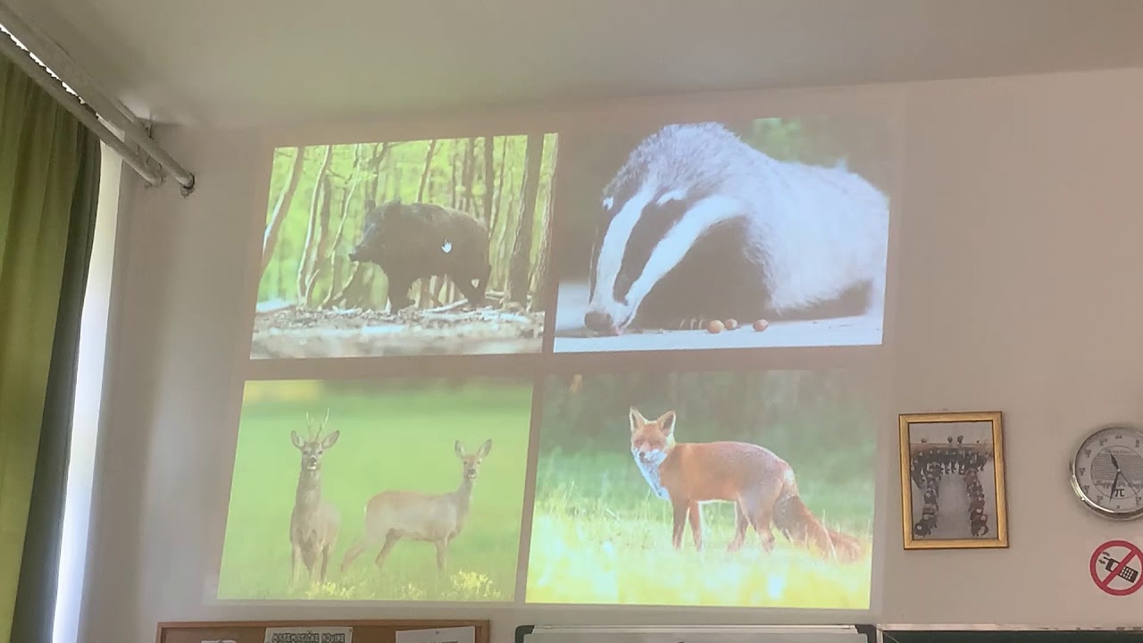 BIOLOGIJA - I razred - Suvozemni biomi