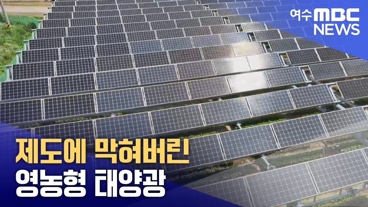 제도에 막혀버린 영농형 태양광 -R(250815금/뉴스투데이)