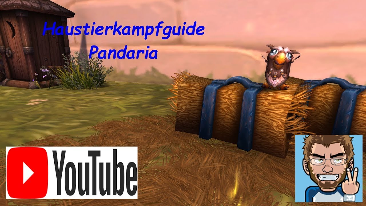 Haustierguide Pandaria Bebender Pandarengeist #009