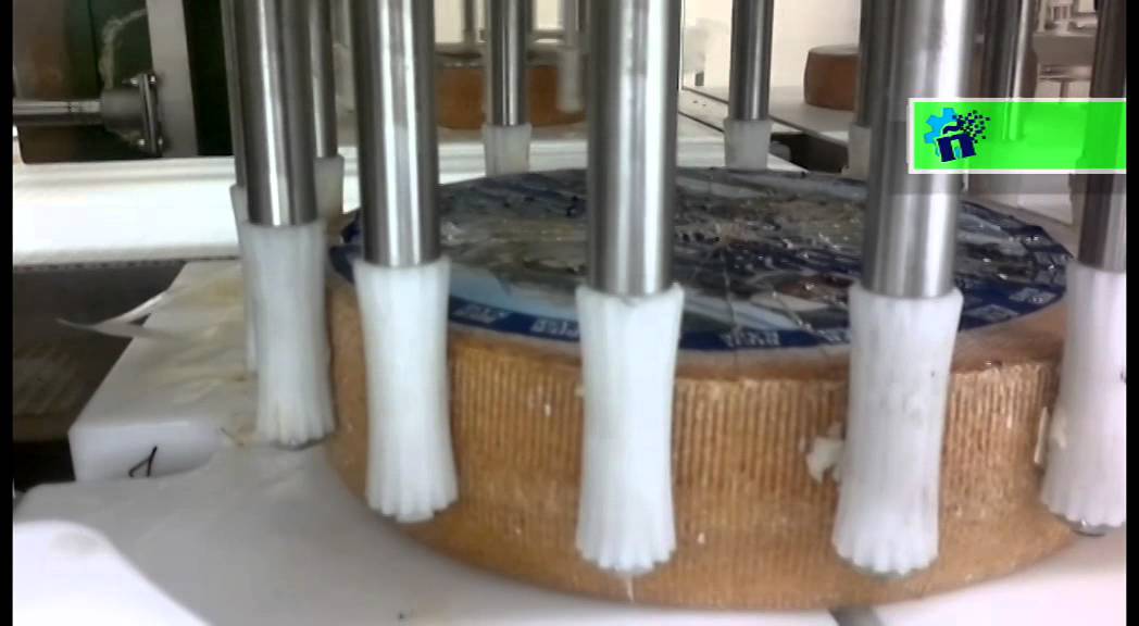 Nuñez Tecnoalimetaria cortadora