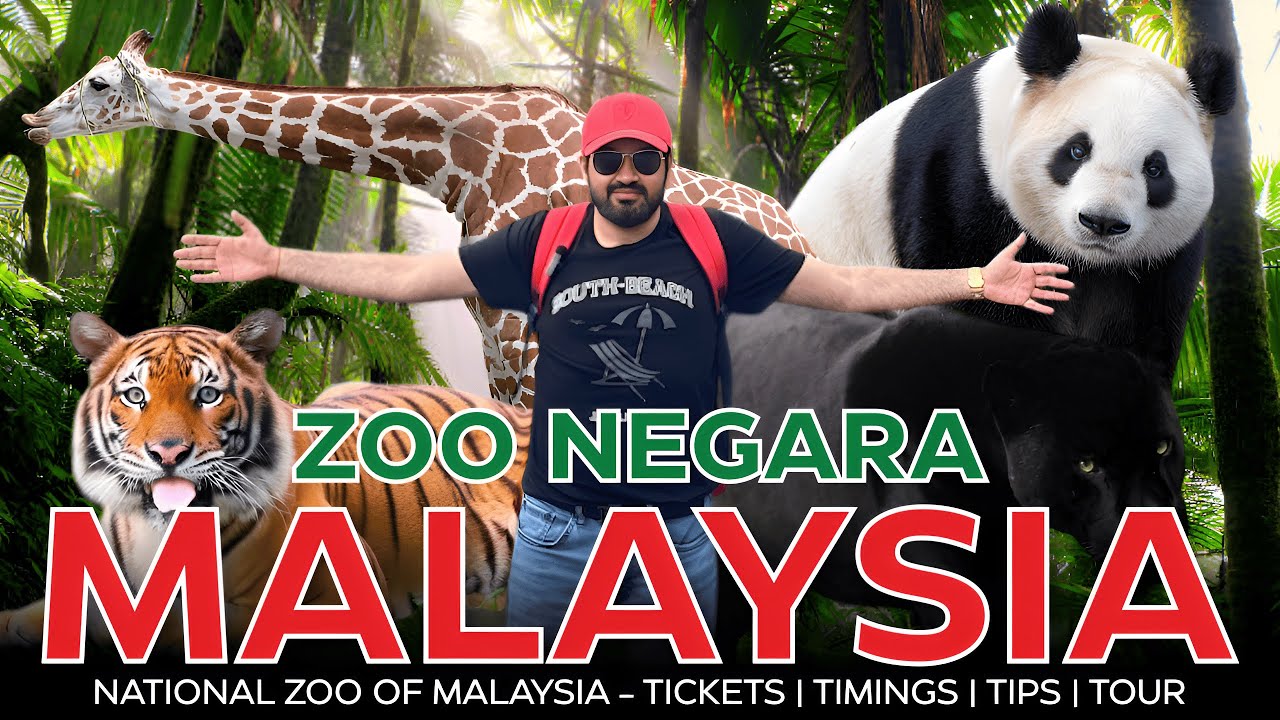 5 BIG Mistakes Tourists Make at Zoo Negara in Kuala Lumpur