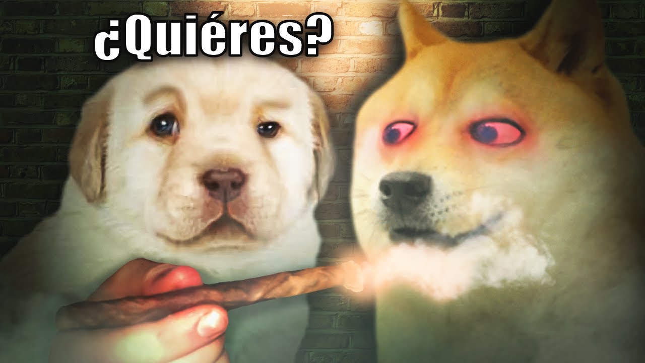 Pass the Boof