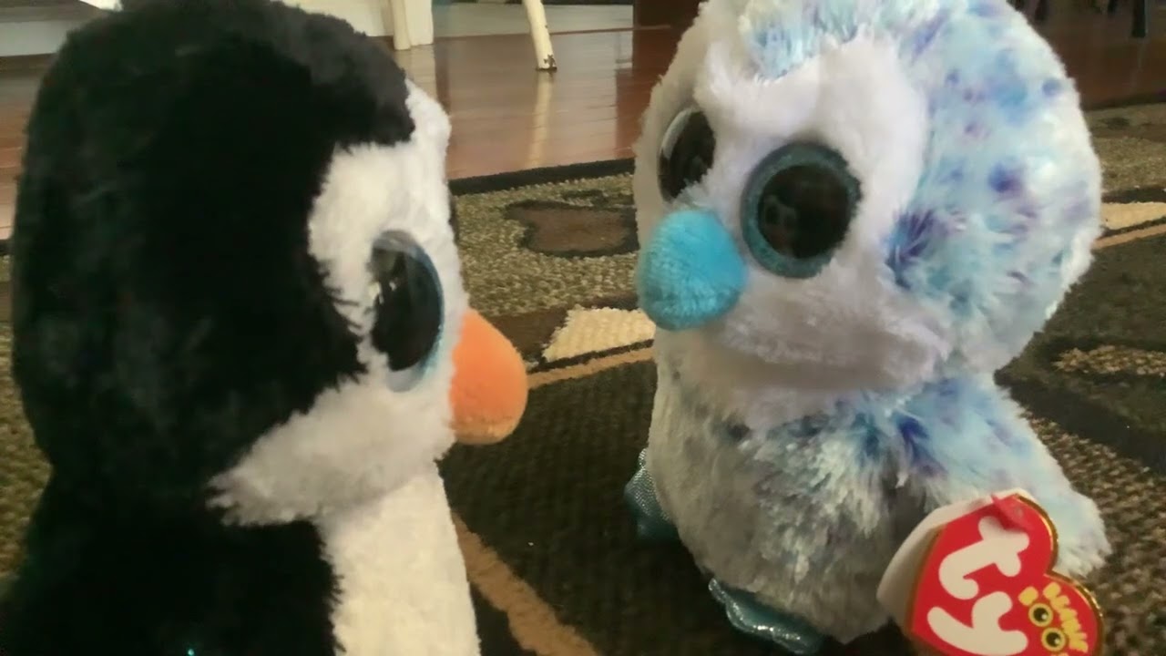 Funny beanie boo moments