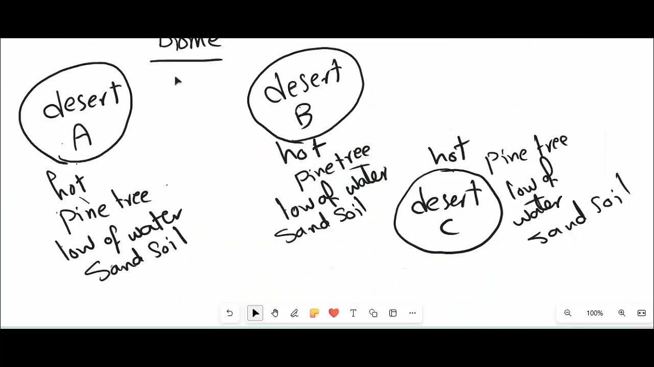 video primary 5 lesson 3