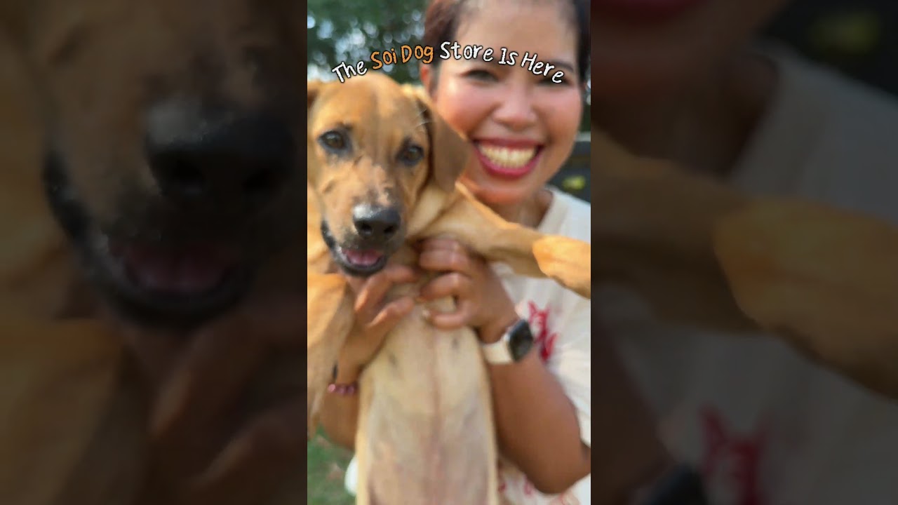 Официальный магазин Soi Dog открыт 🐶🐱 | Экологичная одежда, которая спасает собак и кошек Таиланда
