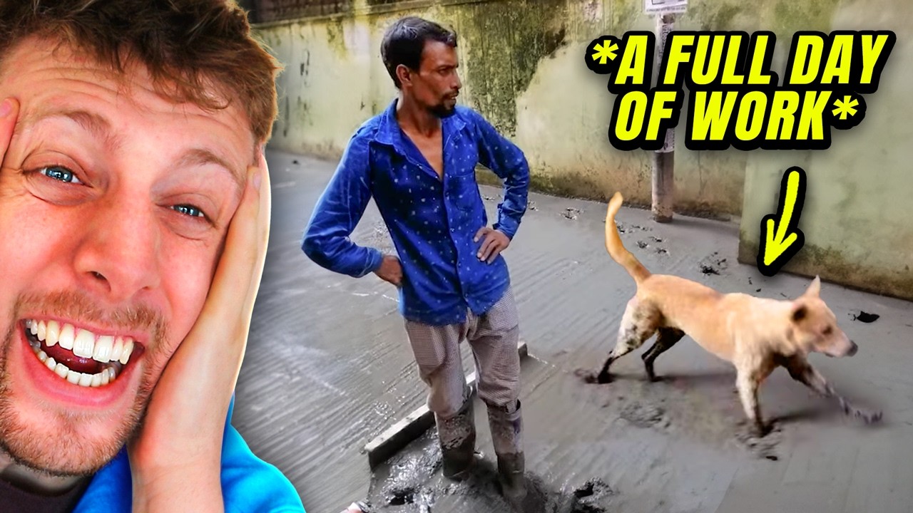 People Having a REALLY Bad Day!