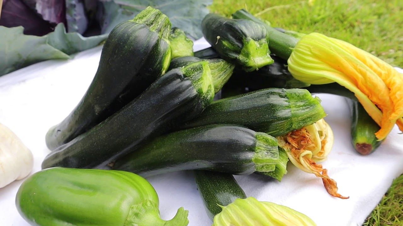 Croke Park's Focus on Sustainable Food Sourcing