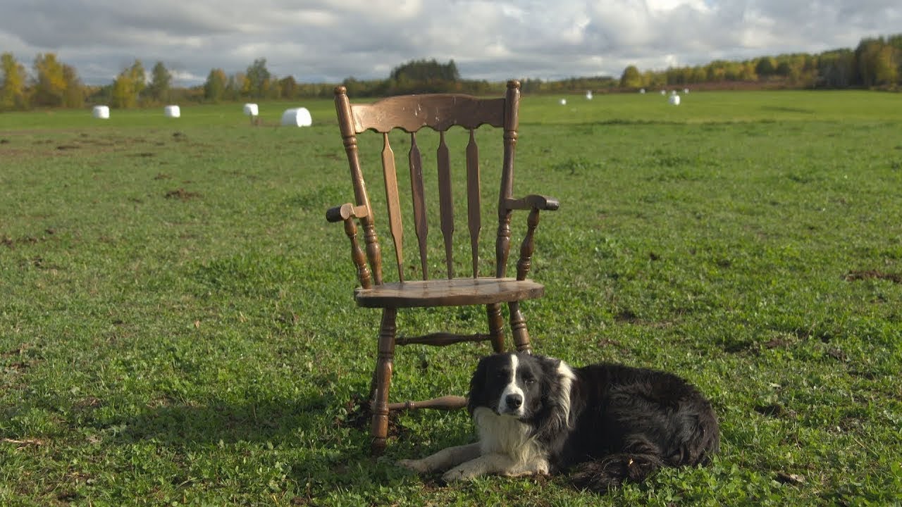 La semaine verte | Détresse des agriculteurs : briser les tabous (1/4)