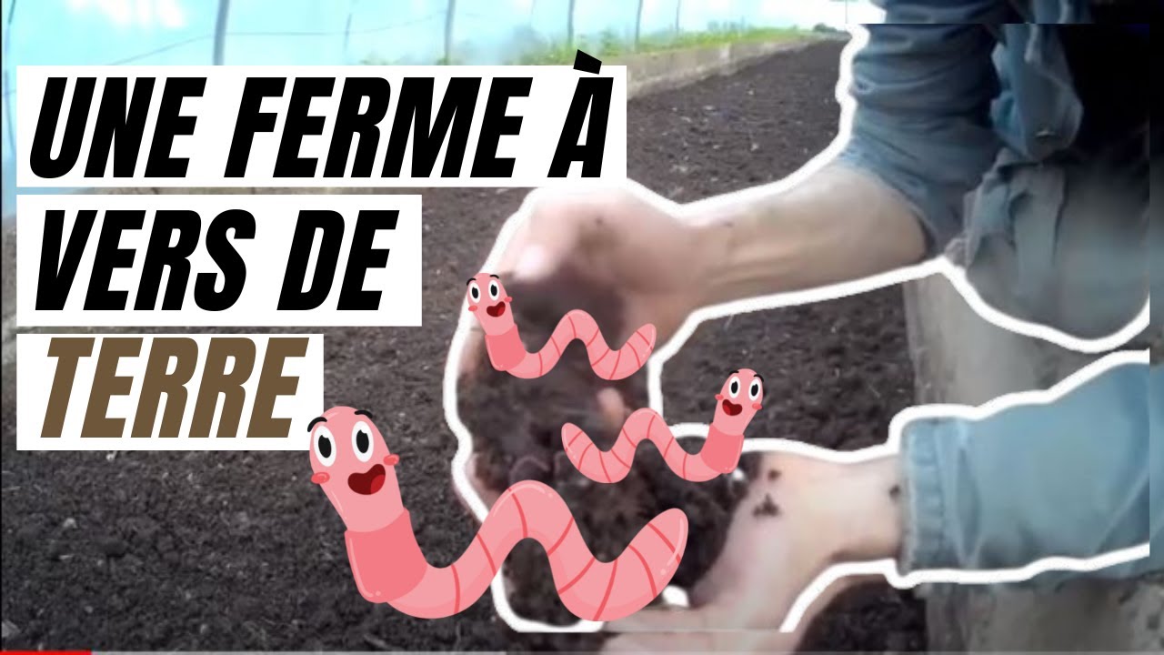 Une Ferme &agrave; VerS de Terre, Lombriculture au Maroc