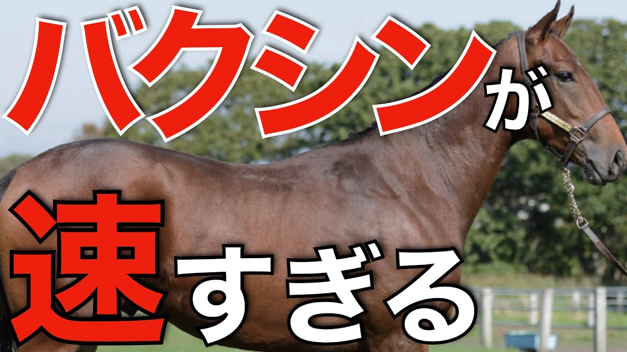 やはりこの血は速すぎる！母父サクラバクシンオーがまたも重賞制覇。