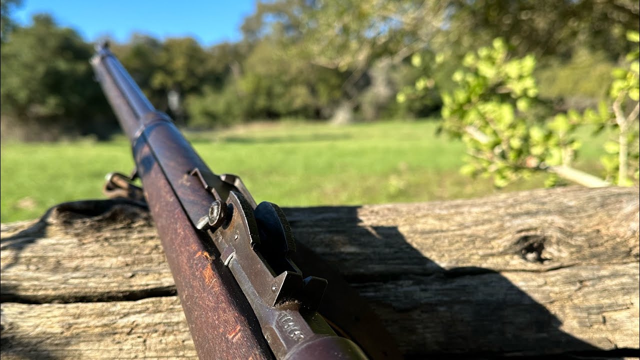 Texas Hog hunt with Italian Carcano rifle