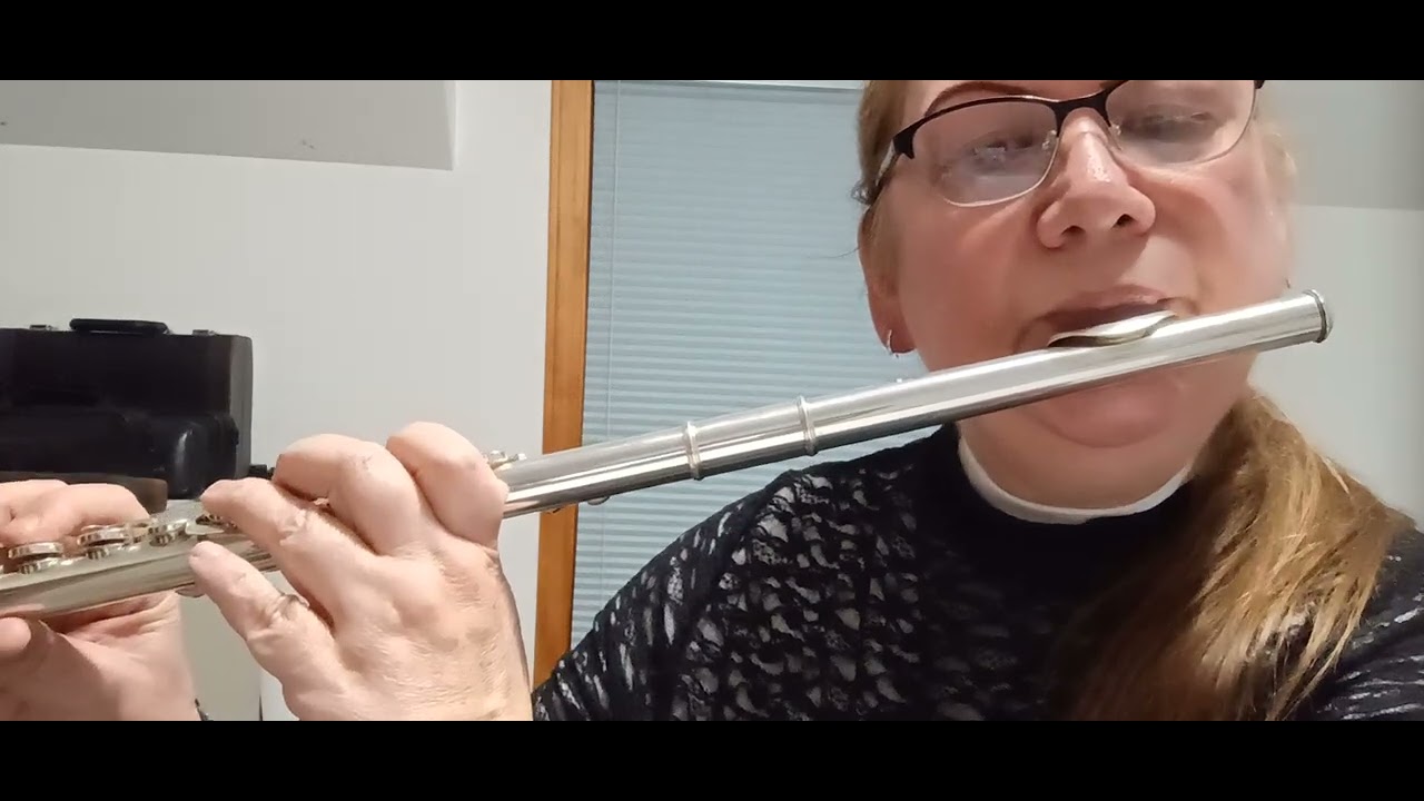 Titanium by David Guetta, Flute: Jennifer Johnson              