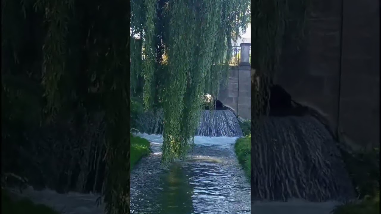 English Garden Munich river view. #vae_tasgaon #river #greenary #water #nature