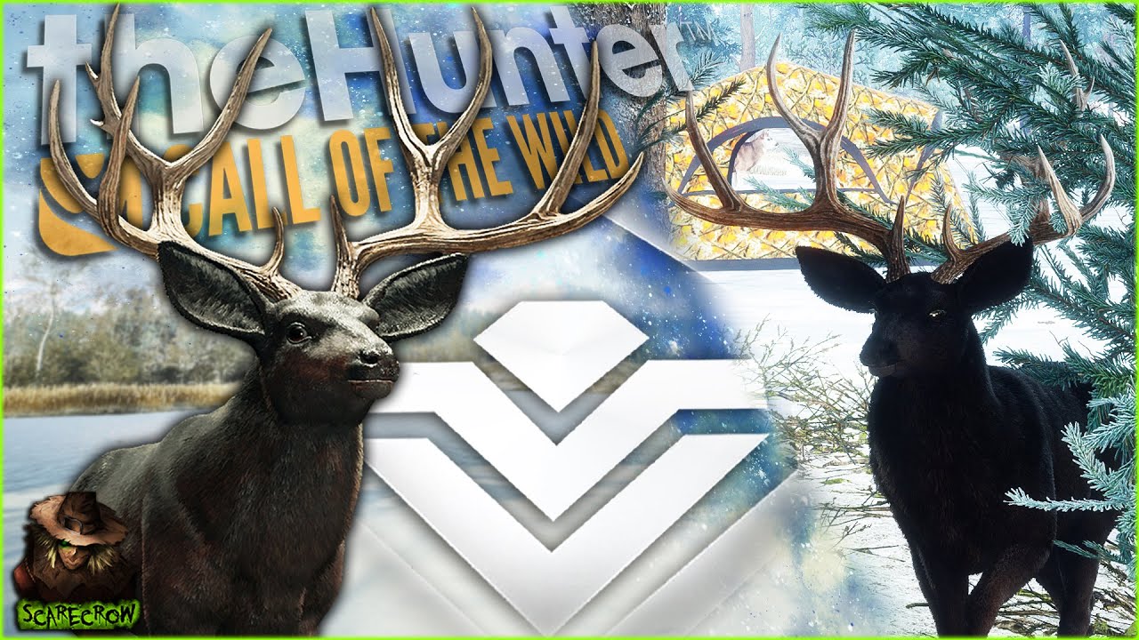 **SUPER RARE** We Hunted A GIANT Melanistic Diamond Mule Deer With The .270! Call of the wild