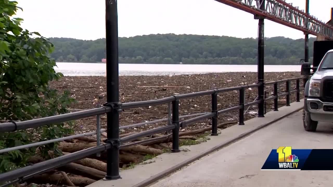 Waterways teeming with trash that collected at Conowingo Dam