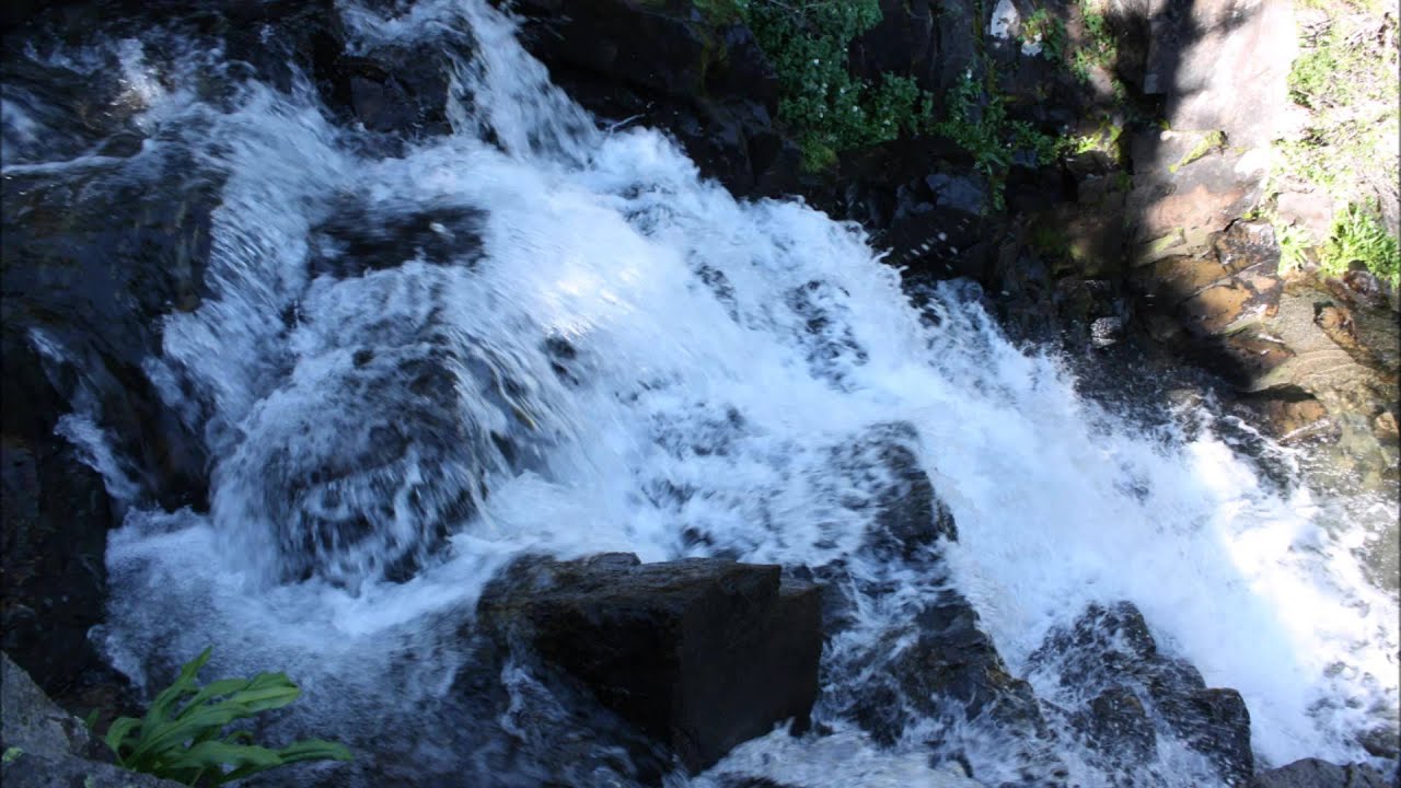 #32 in the Zion's Harp:  Who Shall Abide?