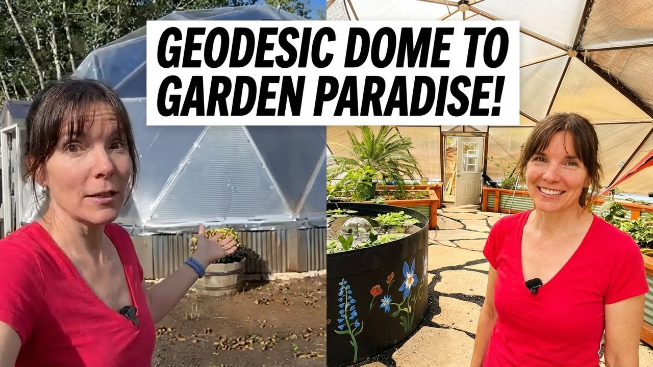 Inside Our Magical Garden Greenhouse Transformation