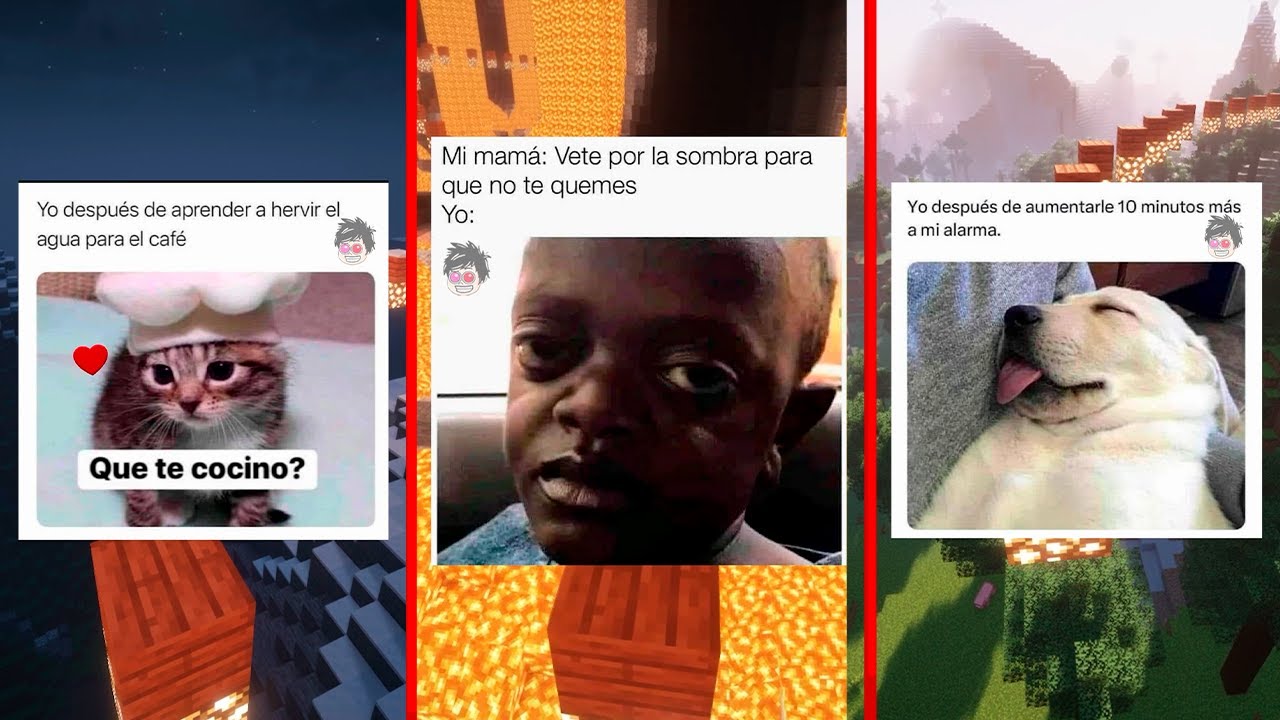 10 Minutos de Memes Para Reir 24/7