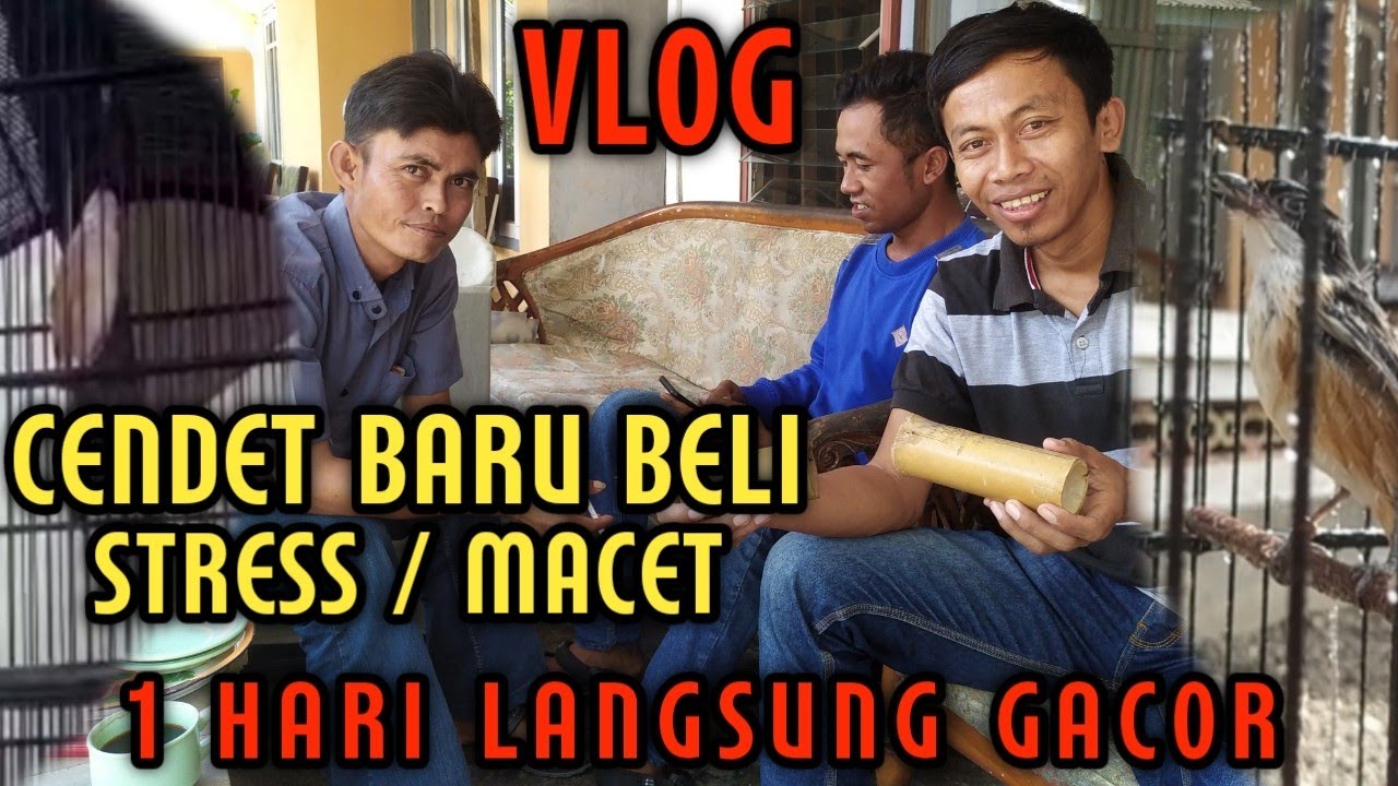 CARA PERTAMA MENGGACORKAN DAN MENGURANGI STRESS/MACET PADA CENDET BARU