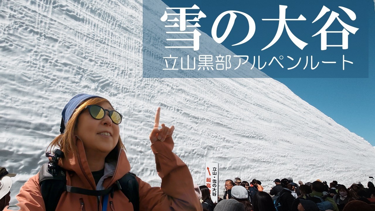 【黒部立山アルペンルート】2025.4.21 最新情報　雪の大谷、黒部ダム、室堂を散策　雷鳥にも会えるよ　夫婦登山