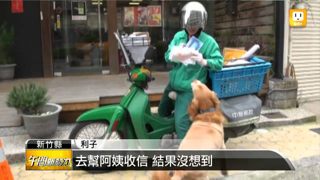 【2013.04.09】美髮店狗狗收信 逗趣引人注目 -udn tv