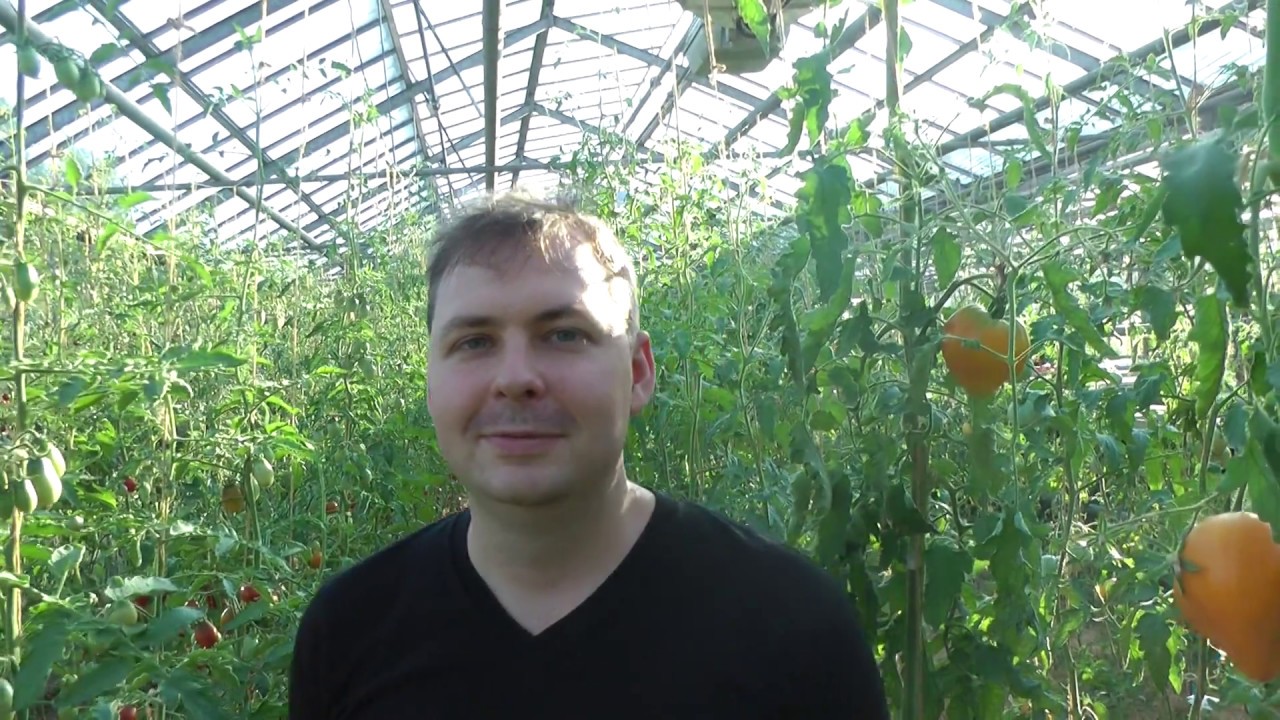 Synth, founder at Skycoin  | BLOCKCHANCE video message;)