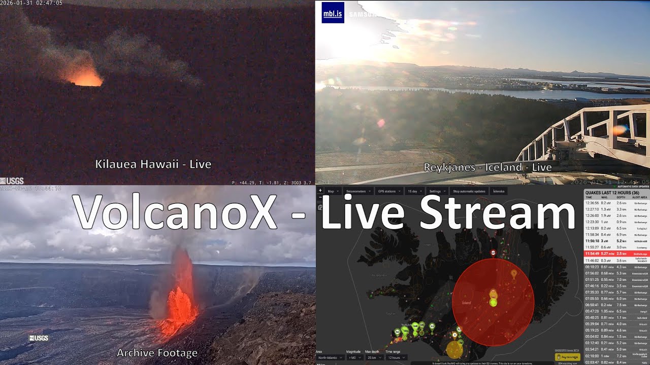 DrFox2000  - VolcanoX Live Stream Recording January 31, 2026 part 1
