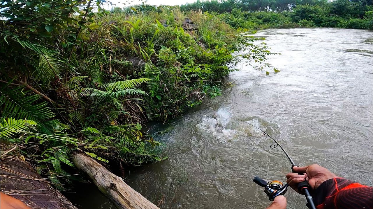 TERLALU CEPAT DI SAMBAR ! casting di sungai ini 😱