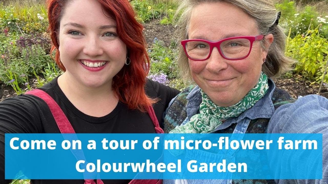 Экскурсия по микроферме цветов Colourwheel Garden первого сезона. Идеи и советы.