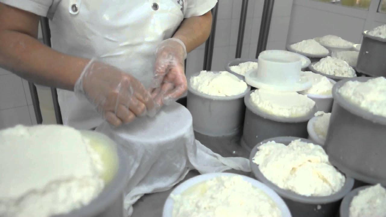 Elaboración del queso Idiazabal en el caserio Goikola, Lastur, Itziar, Deba