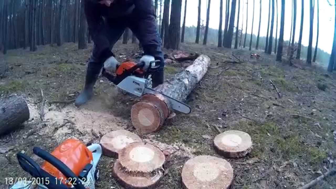 Stihl ms 211 vs ms 230 vs ms 231`Test