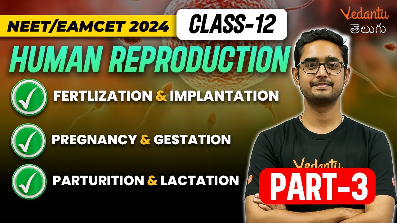 Human Reproduction-3 | Implantation, Pregnancy and Parturition | NEET/EAMCET 2024 | Vedantu Telugu